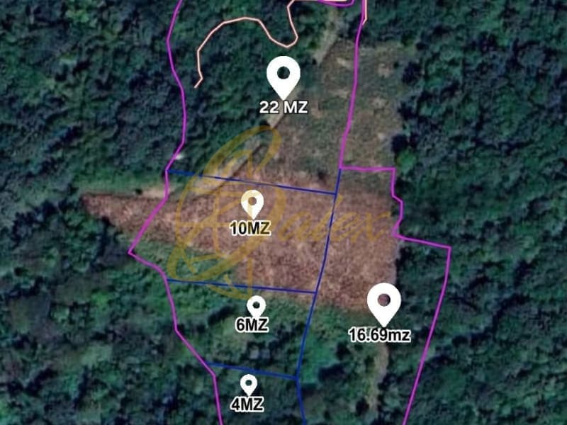 5 Parcelas de terreno agricolas disponobles en Santa Ana